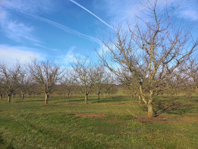 Rozelieures Visite 2025 pics 1